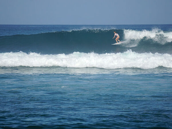 East Cape Baja Surfing
