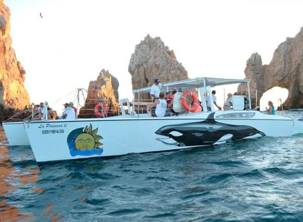 Cabo Boat Party