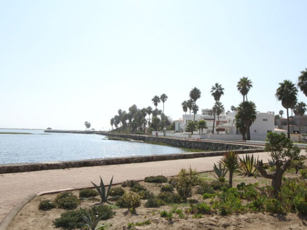  Estero Beach Resort & RV Park en Baja California 