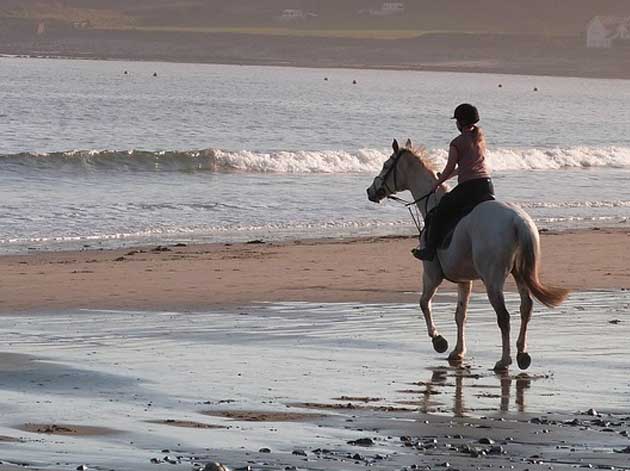 Montar a Caballo en Ensenada Baja California Norte Mexico