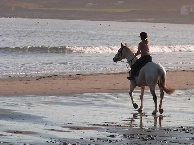 Horseback Riding Ensenada
