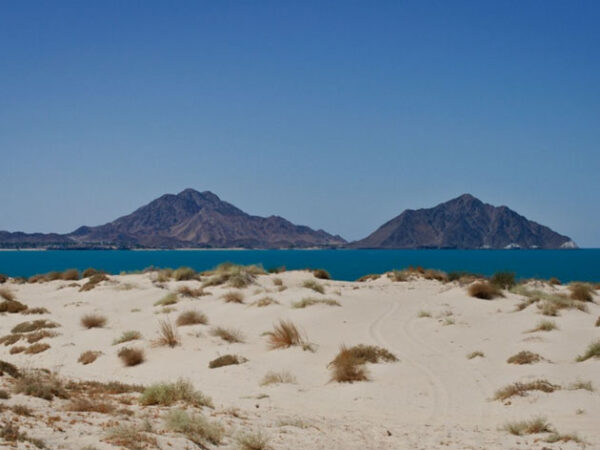 Playa de San Felipe, entre las mejores playas de Baja California Norte