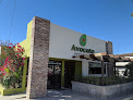 Avocato Burrito Republic Puerto Peñasco