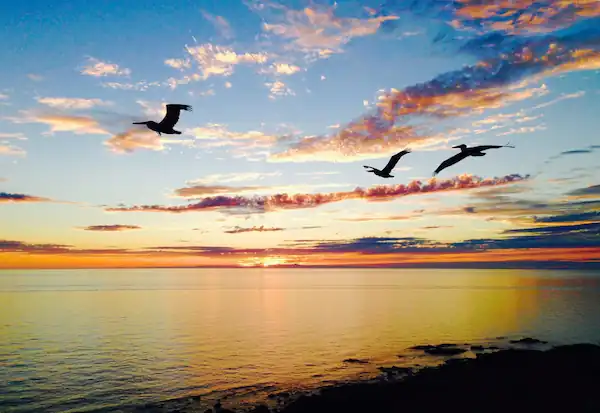 Bahia La Choya Puerto Peñasco