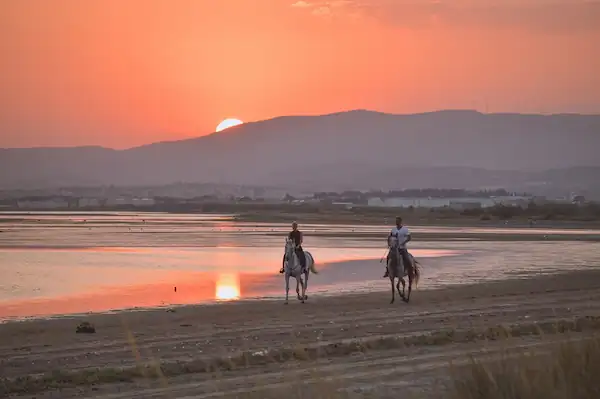 Ubicaciones Populares para Paseos a Caballo en Rocky Point, México